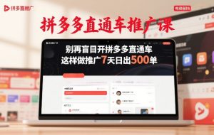 拼多多直通车推广课，别再盲目开拼多多直通车，这样做推广7天日出500单-副业资源站