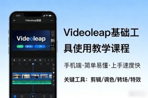 Videoleap基础工具使用教学课程，手机端视频剪辑教学，简单易懂，上手速度快-副业资源站
