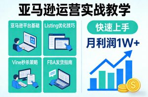 亚马逊运营实战教学，亚马逊平台+Listing优化+Vine秒杀+FBA发货等，快速上手，实现店铺月利润1W-副业资源站