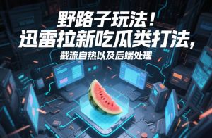 野路子玩法！迅雷拉新吃瓜类打法，截流自热以及后端处理-副业资源站