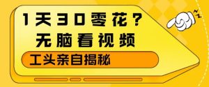 1天30零花?无脑看视频,大佬亲自揭秘-副业资源站