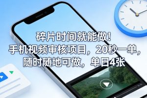 碎片时间就能做！手机视频审核项目，20秒一单，随时随地可做，单日4张+【揭秘】-副业资源站