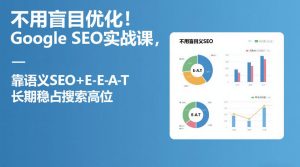 不用盲目优化!Google SEO实战课,靠语义SEO+E-E-A-T,长期稳占搜索高位-副业资源站