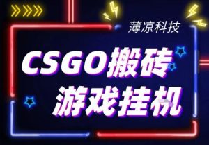 CSGO游戏挂G游戏搬砖最新升级,普通小白一部手机可日入3张+当天见结果,支持验证【揭秘】-副业资源站