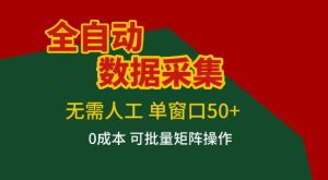 全自动数据采集项目，无需人工，单窗口可达50+收益，操作简单无难度，一个人也能轻松实现矩阵【揭秘】-副业资源站