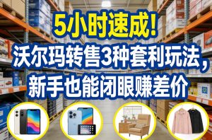 5小时速成!沃尔玛转售3种套利玩法,新手也能闭眼賺差价-副业资源站