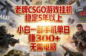 老牌CSGO游戏挂G,稳定5年以上,小白一部手机单日賺3张+,无需电脑【揭秘】-副业资源站