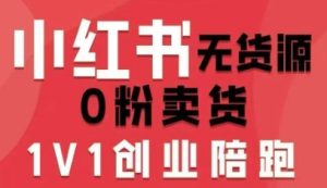 小红书无货源0粉电商课，开店准备、选品策略、笔记撰写、视频剪辑、数据分析、账号打造、资料文档（更新26年3月）-副业资源站