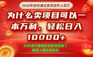 一单净利润1K+，26年想年入100个W，死磕卖项目就够了【揭秘】-副业资源站