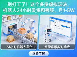 别打工了！这个多多虚拟玩法，机器人24小时发货和客服，月1-5W【揭秘】-副业资源站