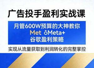 广告投手盈利实战课,月管600W预算的大神教你Meta+谷歌盈利策略,实现从流量获取到利润转化的完整掌控-副业资源站