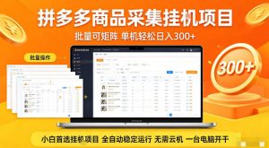拼多多商品信息全自动采集项目，批量可矩阵，单机轻松日入300+，无需云机一台电脑开干【揭秘】-副业资源站