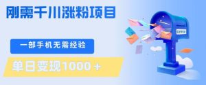刚需千川涨粉项目,一部手机无需技术,单日变现1k+,当天做当天见收益【揭秘】-副业资源站