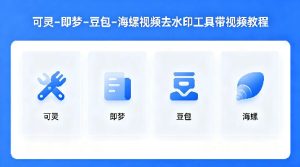 可灵–即梦–豆包–海螺视频去水印工具带视频教程-副业资源站