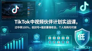 TikTok中视频伙伴计划实战课，过中率100%，低封号+播放量賺收益，个人矩阵均可做-副业资源站