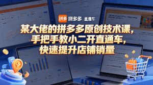 某大佬的拼多多原创技术课，手把手教小二开直通车，快速提升店铺销量-副业资源站