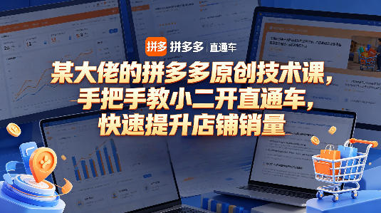 某大佬的拼多多原创技术课，手把手教小二开直通车，快速提升店铺销量-副业资源站