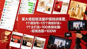 某大佬超级流量IP搞钱训练营，1个微信号+1万个微信好友+1个主打品+100条朋友圈-短视选题=100W-副业资源站
