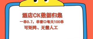上班也能玩的酒店CK数据归集，一单0.7单窗口每天可做100单，一个人就能矩阵操作【揭秘】-副业资源站