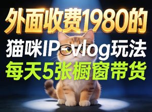 宠物赛道猫咪IP-vlog玩法，26条视频涨粉29W，每天5张橱窗带货拆解-副业资源站