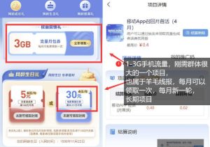手机流量领取推广_每月一轮，刚需类的长期项目-副业资源站