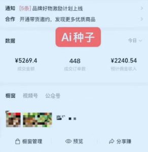 视频号AI种子带货，0粉0保证金就可做，人人能做，实操日入1k+-副业资源站