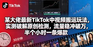 某大佬最新TikTok中视频搬运玩法，实测破解原创检测，流量稳冲破万，半个小时一条爆款-副业资源站