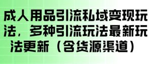 成人用品引流私域变现玩法，多种引流玩法最新玩法，操作简单（含货源渠道）-副业资源站