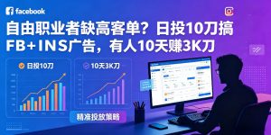 自由职业者缺高客单？日投10刀搞FB+INS广告，有人10天赚3K刀！【原创双语字幕】-副业资源站