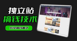 干货来袭！麦子甜带你吃透独立站｜从搭建到引流一站式教学《独立站》第一期-副业资源站