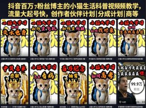 抖音百万粉丝博主的小猫生活科普视频教学，流量大起号快，创作者伙伴计划|分成计划|商单|收徒等-副业资源站