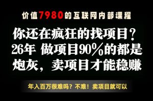 26年请不要疯狂的找项目了，卖项目远比你想象的暴利，你也可以月入10W+【揭秘】-副业资源站