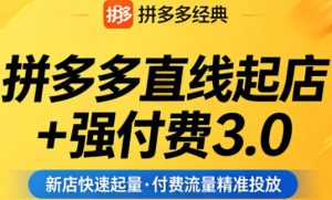 拼多多直线起店+强付费3.0，教你稳定起店、高效控投产、破解流量瓶颈（更新4月）-副业资源站
