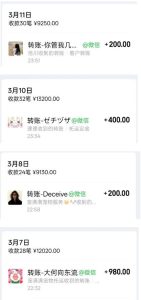 宠物托运阳光赛道賺钱教学，小众高刚需冷门项目，日均10单稳定盈利，单均利润200+-副业资源站