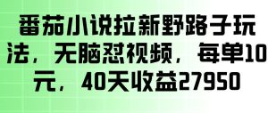 番茄小说拉新野路子玩法，无脑怼视频，玩法简单、见效快，每单10米，40天收益27950-副业资源站