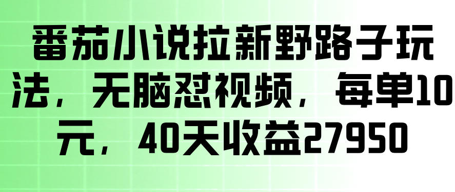 番茄小说拉新野路子玩法，无脑怼视频，玩法简单、见效快，每单10米，40天收益27950-副业资源站