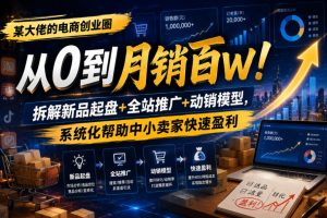 某大佬的电商创业圈从0到月销百W！拆解新品起盘+全站推广+动销模型，系统化帮助中小卖家快速盈利-副业资源站
