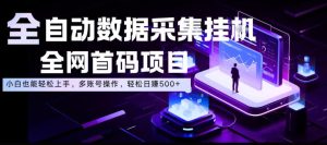 全自动数据采集挂G,全网首码项目,简单易操作,小白也能轻松上手,多账号操作,轻松日入500+【揭秘】-副业资源站