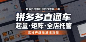 拼多多打爆班原创技术第60期,拼多多直通车,起量・矩阵・全店托管,高投产爆单增收教程-副业资源站