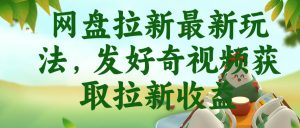 网盘拉新最新玩法，发好奇视频获取拉新收益，抖音收藏家玩法-副业资源站