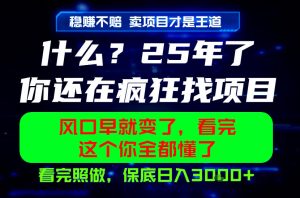 26年，请不要疯狂的找项目做了！卖项目才是真的稳賺不赔，看完照做，保底日入1k+【揭秘】-副业资源站