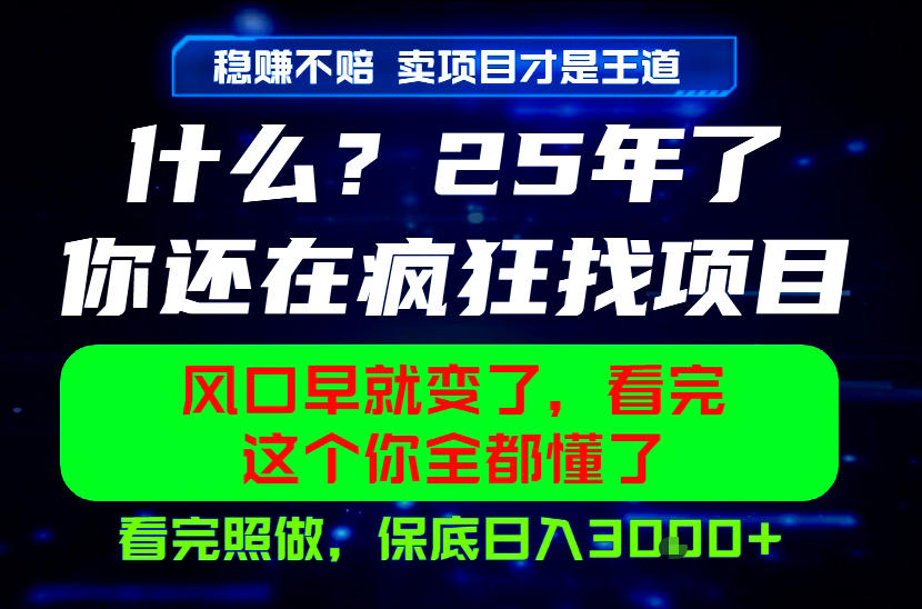 26年，请不要疯狂的找项目做了！卖项目才是真的稳賺不赔，看完照做，保底日入1k+【揭秘】-副业资源站