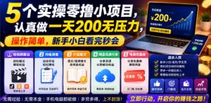 5个实操零撸小项目，认真做一天200无压力，操作简单，新手小白看完秒会【揭秘】-副业资源站