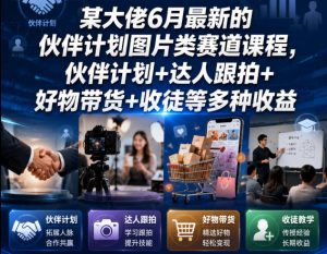 某大佬6月最新的伙伴计划图片类赛道课程，伙伴计划+达人跟拍+好物带货+收徒等多种收益-副业资源站