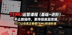 TEMU运营课程（基础+进阶），不止教操作，更传授底层思维，一门让你真正看懂TEMU的进阶课-副业资源站