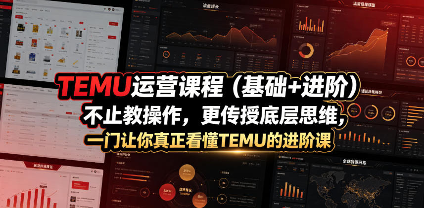 TEMU运营课程（基础+进阶），不止教操作，更传授底层思维，一门让你真正看懂TEMU的进阶课-副业资源站