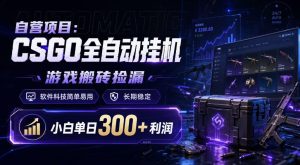 自营项目：CSGO全自动挂G，游戏搬砖捡漏，软件科技简单易用，长期稳定，小白单日300+利润【揭秘】-副业资源站