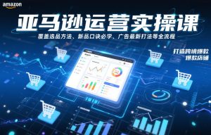 亚马逊运营实操课，覆盖选品方法、新品口诀必学、广告最新打法等全流程，打造跨境爆款店铺（更新6月）-副业资源站