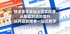 拼多多零基础运营实战课，从基础到进阶提升，从开店到爆单一站式教学-副业资源站