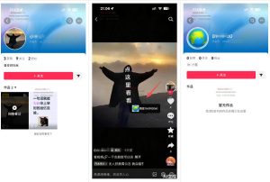 最强抖音引流-隐藏式暂停跳钩子，效果自测-副业资源站